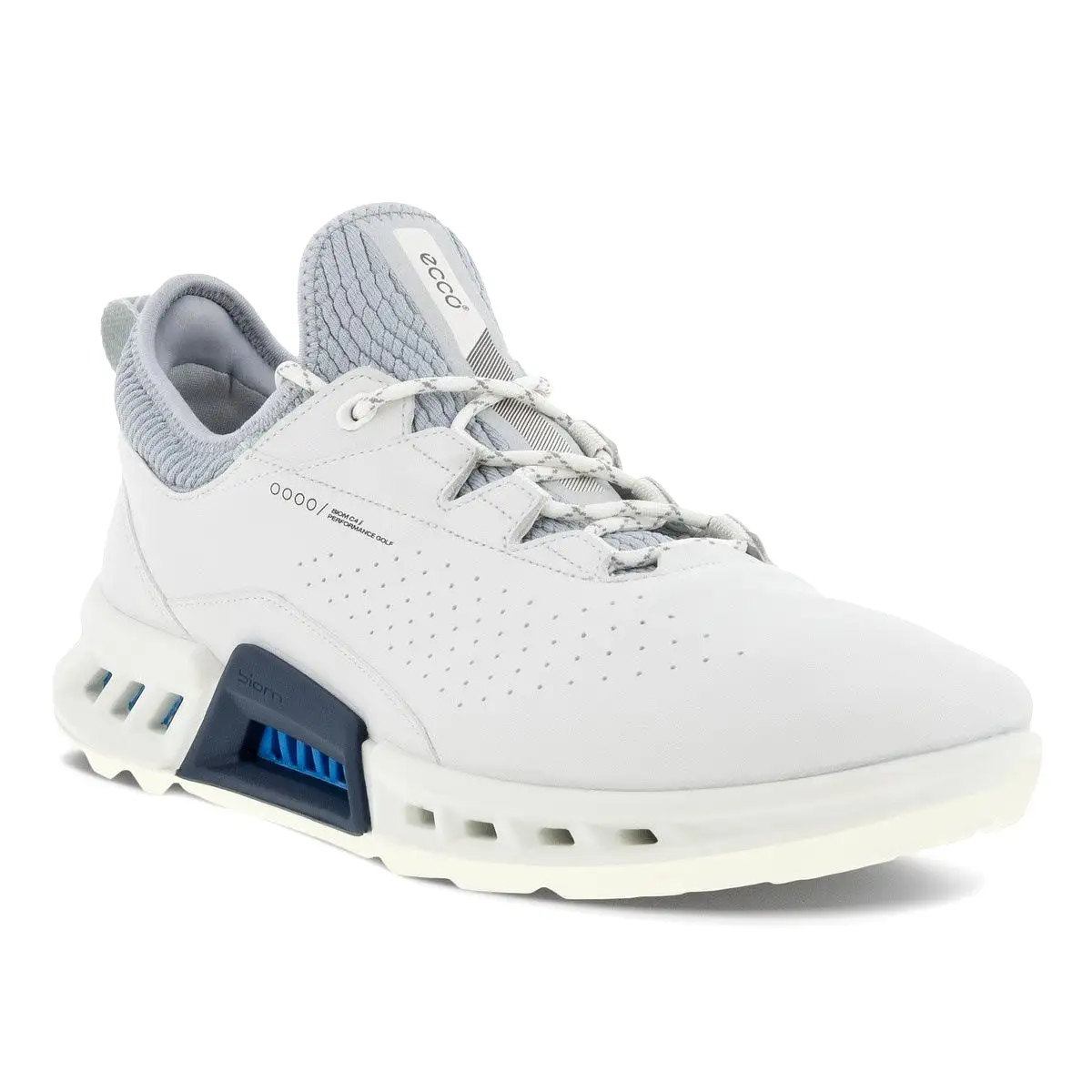 Ecco Mens Biom C4