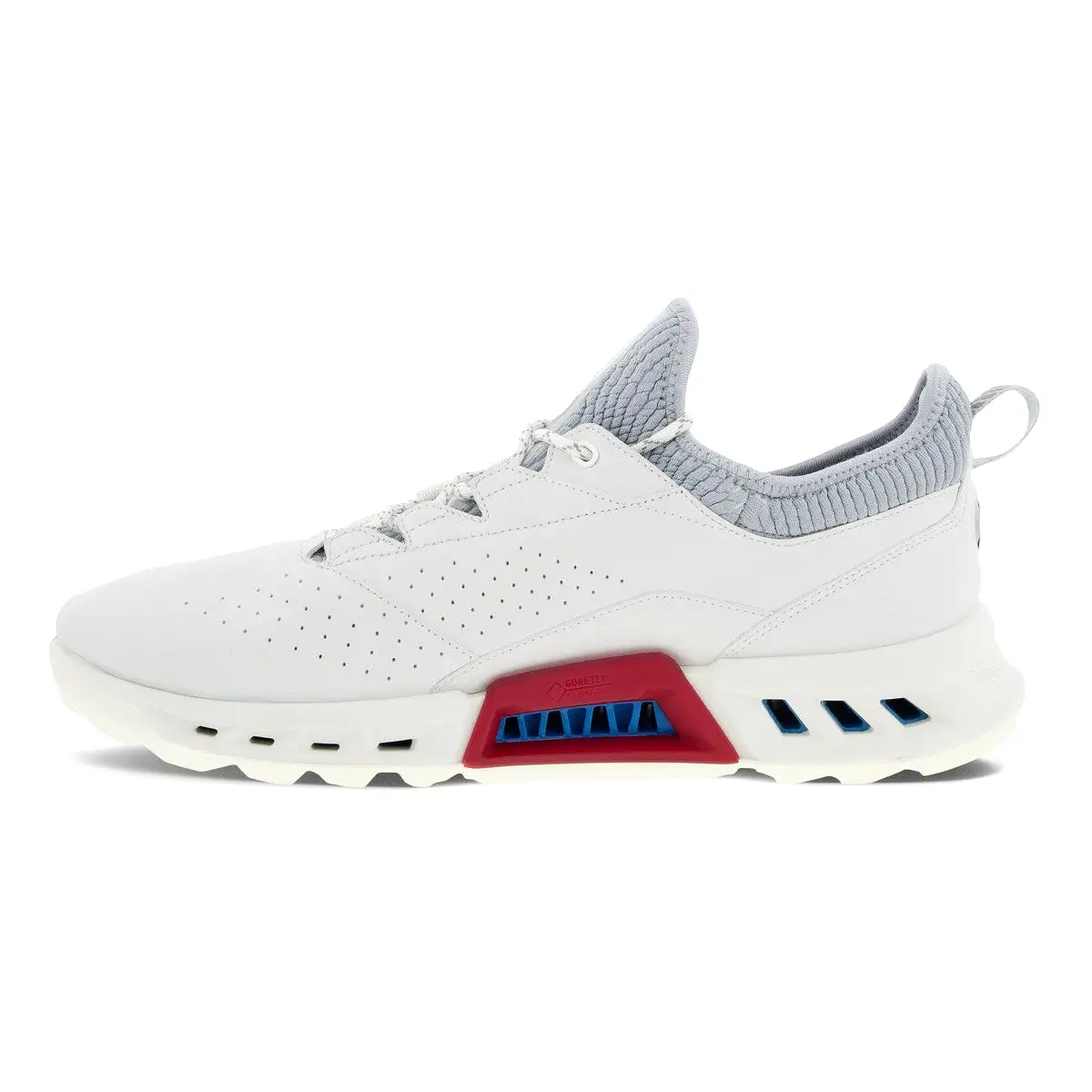 Ecco Mens Biom C4